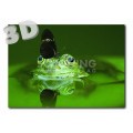 3D Frog - Postcard