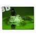 3D Frog - Postcard