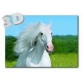 3D Pferd - Postkarte