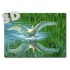 3D Swan - Postcard