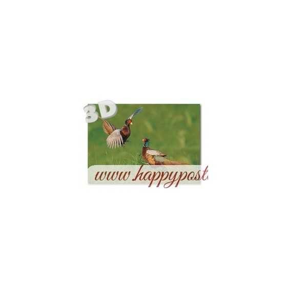 3D Fasane - Postkarte