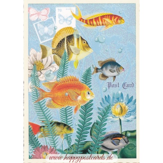 Fische - Tausendschön - Postkarte