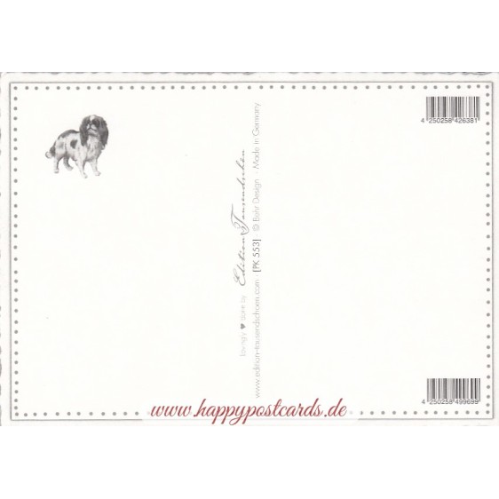 Hunde - Tausendschön - Postkarte