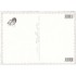 Hunde - Tausendschön - Postkarte