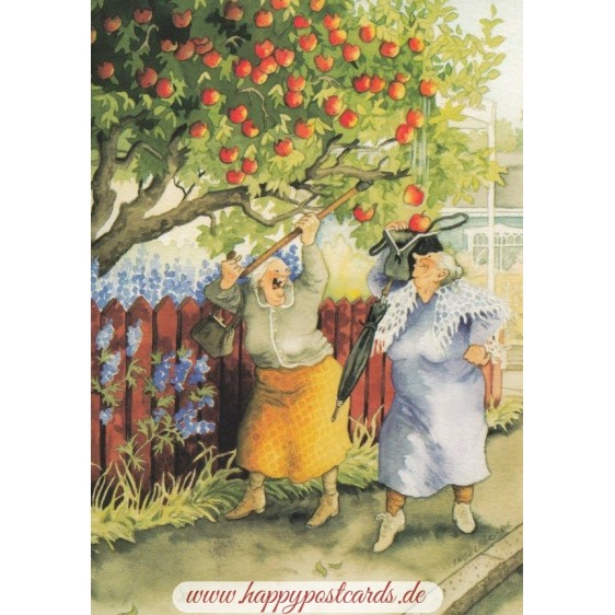11 - Old Ladies shaking apples - postcard