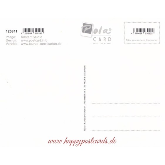 Friedliche Weihnachten - Taube - Weihnachtskarte - PolaCard
