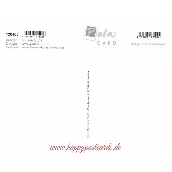 Frohe Weihnachten - Champagne glasses - Christmas PolaCard