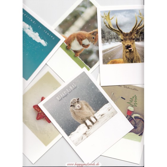 Surprise Paket - PolaCards