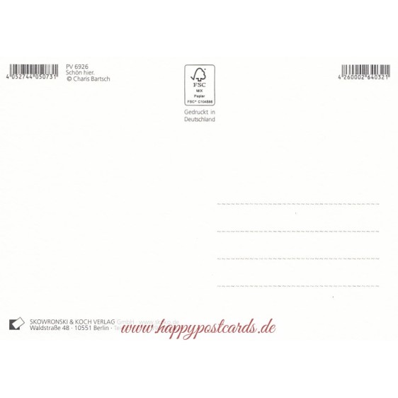 Schön hier - Möwen - Postkarte