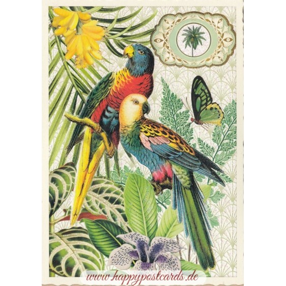 Papageien - Tausendschön - Postkarte