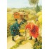 80 - Frauen machen Spaziergang - Löök Postkarte