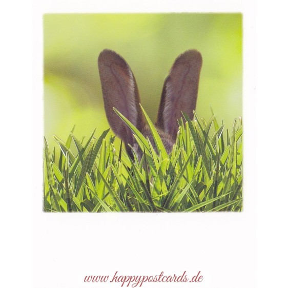 Bunny hiding in the grass - PolaCard