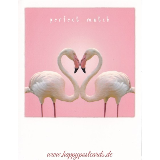 Flamingo-Herz  - PolaCard
