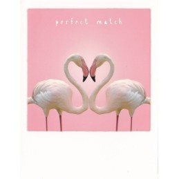 Flamingo-heart - PolaCard