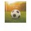 Closeup - soccer - PolaCard