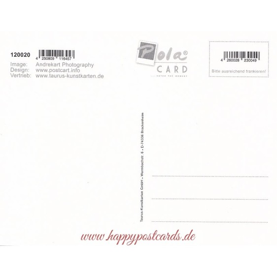 Sky with balloons - PolaCard