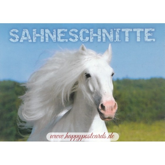 Horse - Sahneschnitte - Viewcard