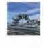 Lighthouse - PolaCard
