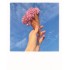 Himmel und Eis - PolaCard