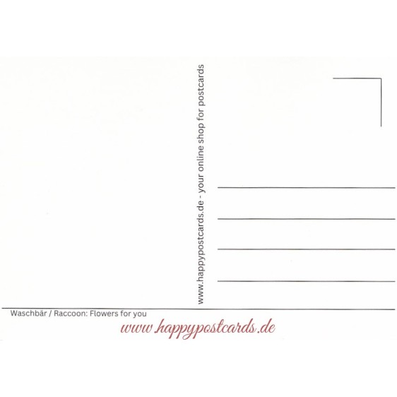 Waschbär - Flowers for you - Postkarte