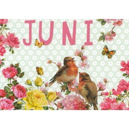 Juni - Carola Pabst - Monthly Postcard