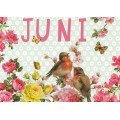 Juni - Carola Pabst - Monats-Postkarte