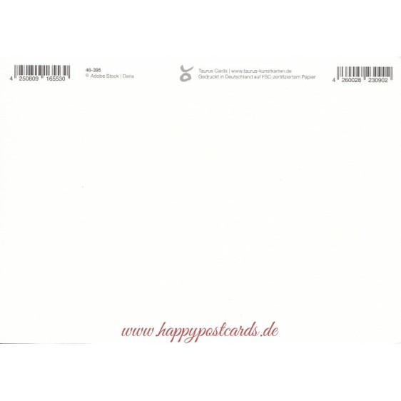 Merry Christmas - Santa Claas - Christmas Postcard