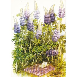 108 - Picknick under Lupins - Löök Postcard