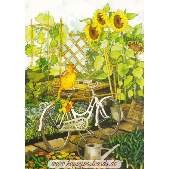112 - Katze auf Fahrrad - Löök Postkarte