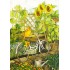 112 - Katze auf Fahrrad - Löök Postkarte