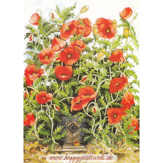 115 - Türe unter Mohnblumen - Löök Postkarte