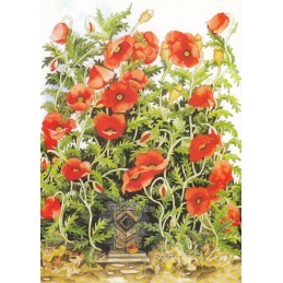 115 - Türe unter Mohnblumen - Löök Postkarte