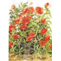 115 - Türe unter Mohnblumen - Löök Postkarte