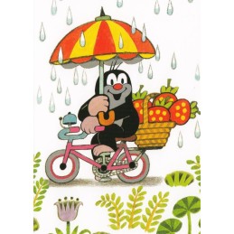 Der Maulwurf mit Fahrrad im Regen - Maulwurf Postkarte