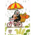 The Mole with a bike in the Rain - Postcard