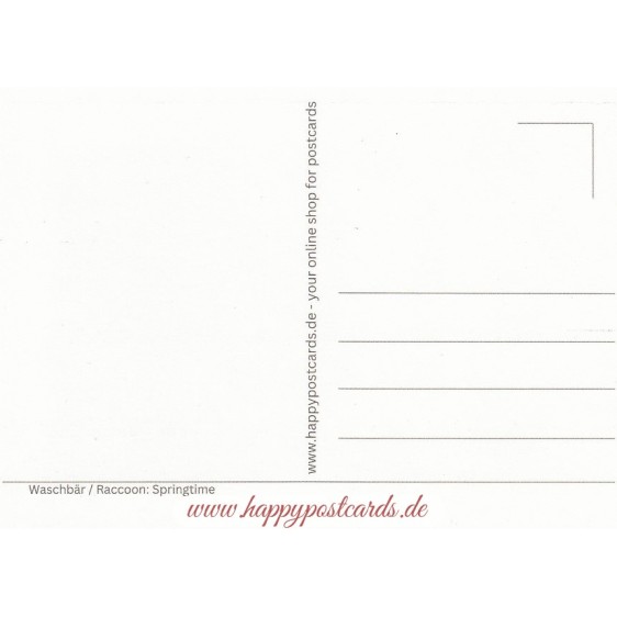 Waschbär - It's springtime - Postkarte
