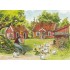 Pettersson in the Yard - Postcard