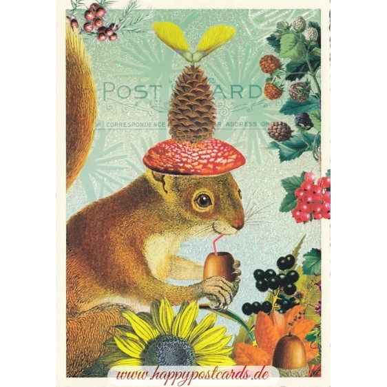 Squirrel - Tausendschön - Postcard