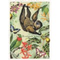 Sloth - Tausendschön - Postcard
