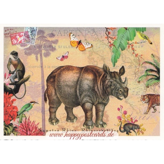 Sumatra Nashorn - Tausendschön - Postkarte