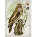 Owl No. 4 - Auguri - Barbara Behr - Postcard