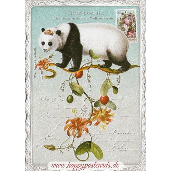 Panda No. 2 - Auguri - Barbara Behr - Postcard