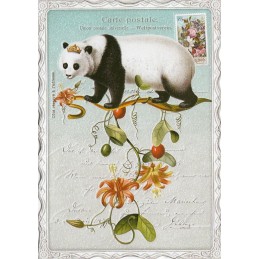 Pandabär No. 2 - Auguri - Barbara Behr - Postkarte