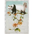 Panda No. 2 - Auguri - Barbara Behr - Postcard