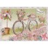 Bike - Zum Geburtstag - Auguri - Barbara Behr - Postcard