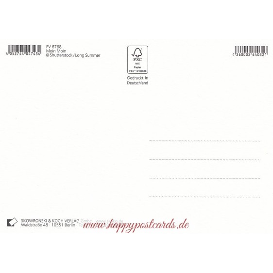 Moin Moin - Möwe - Postkarte