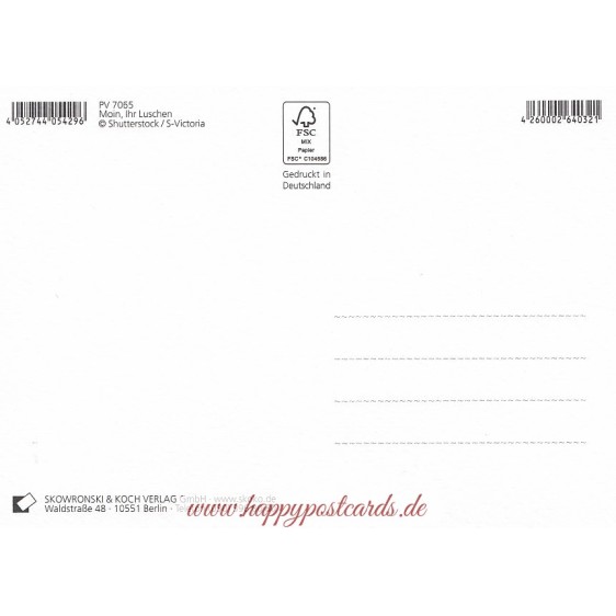 Moin, Ihr Luschen - Möwe - Postkarte