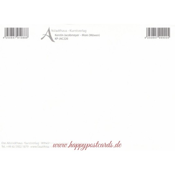 Moin - Möwen - Postkarte