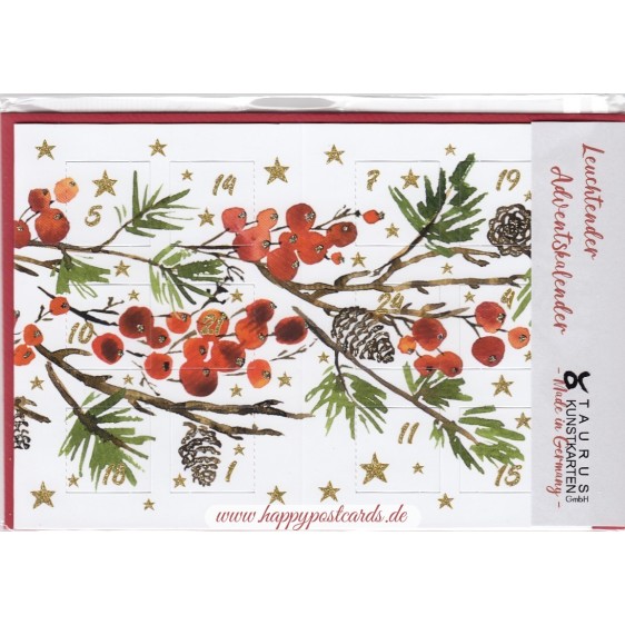 Zweige - Leuchtender Adventskalender