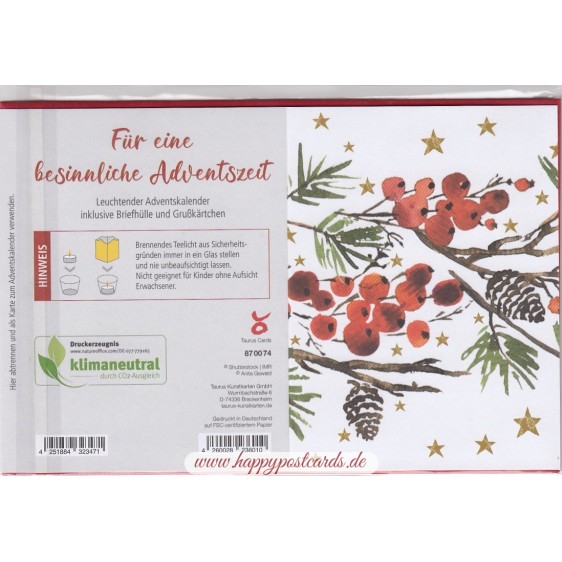 Zweige - Leuchtender Adventskalender